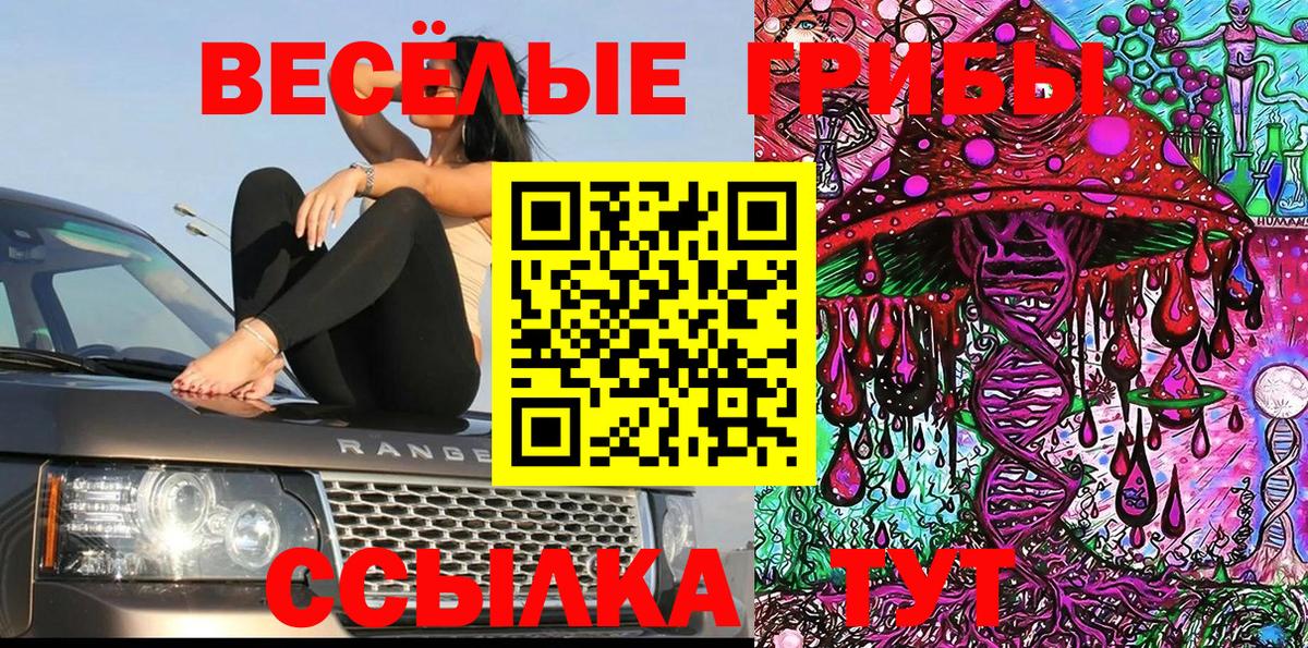 Псилоцибиновые грибы мухоморы  Вход с VPN  Ялта 
